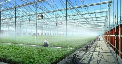 【技术分享】温室大棚小知识
