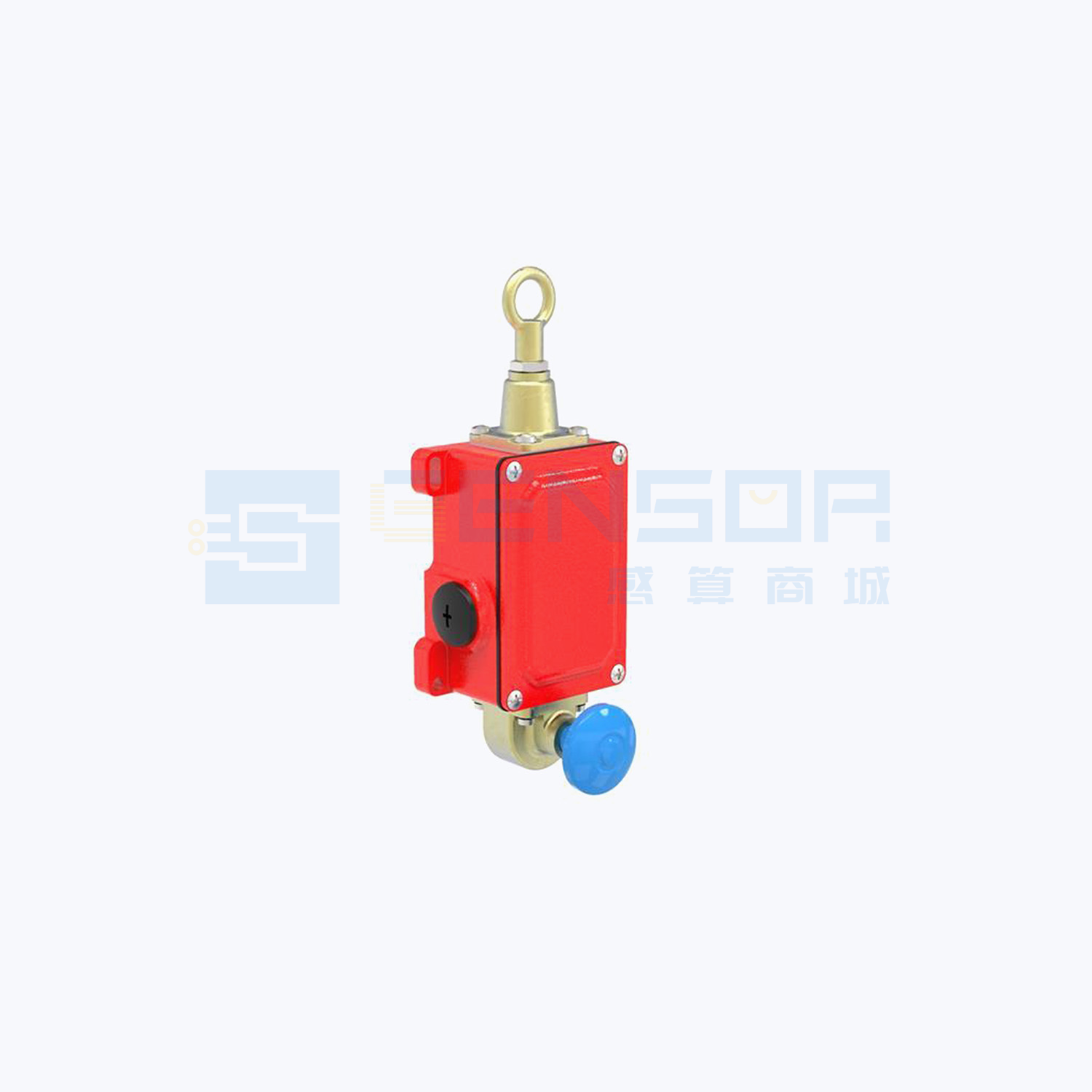 “RSBCV”商品图1