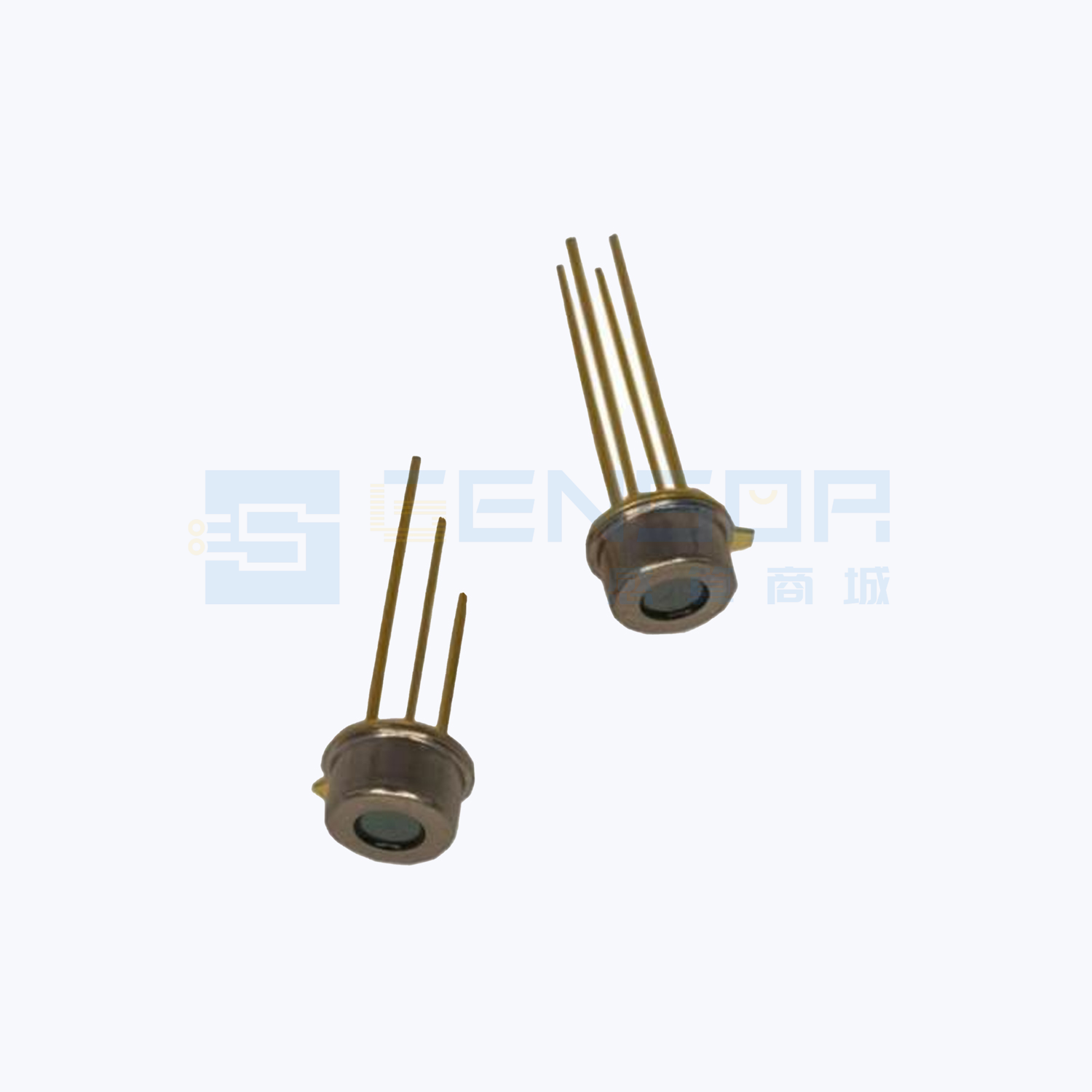 “LT-SS-T2B-F55”商品图1