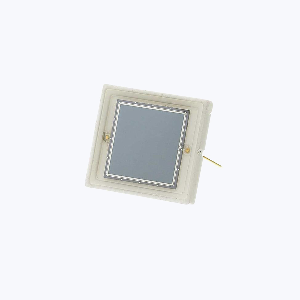 RD-100实物图