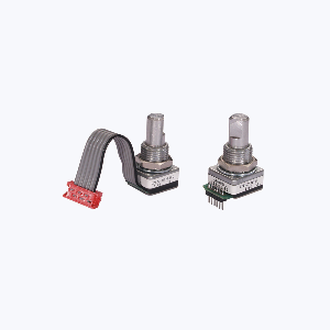 62S30-L9-P