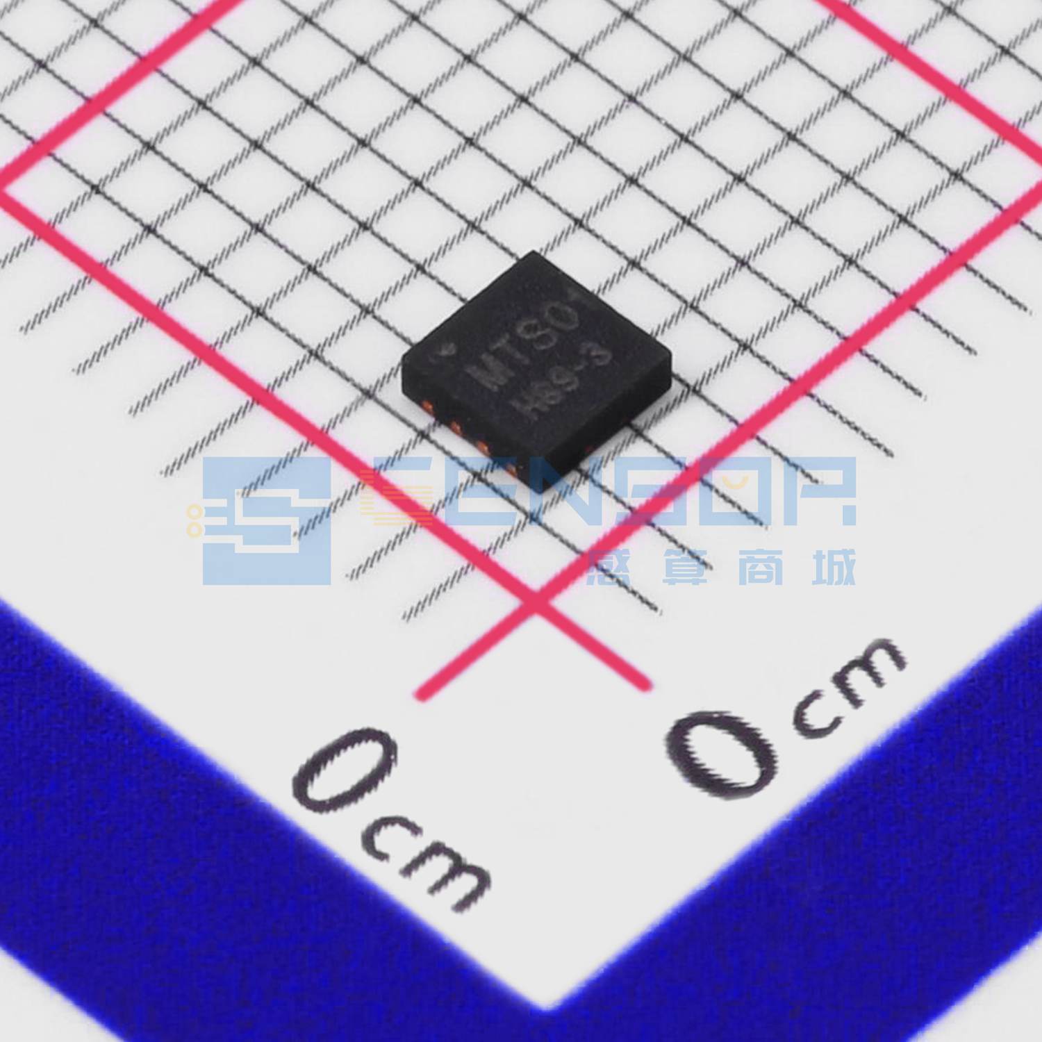“MTS01P”商品缩略图6