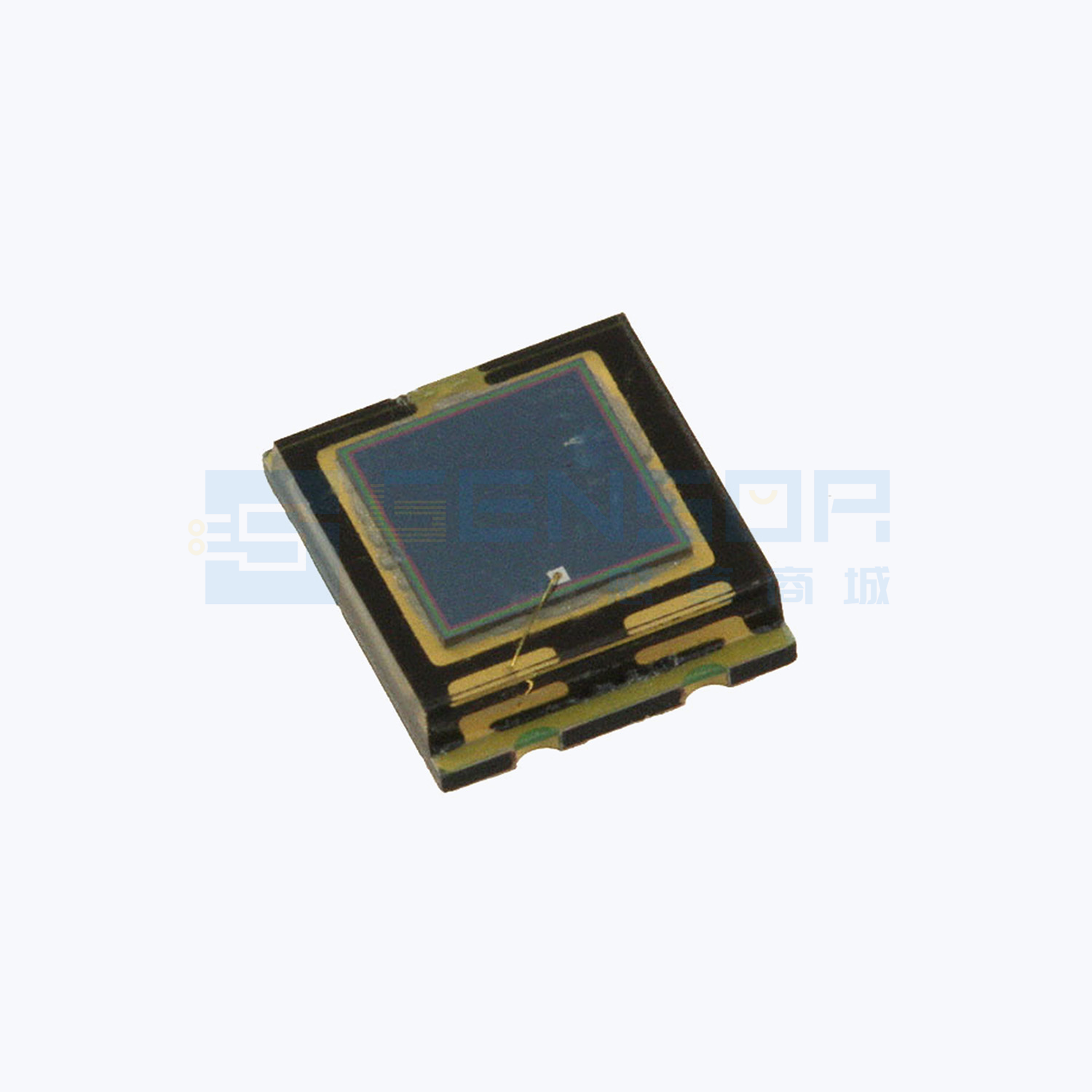 “TEMD5010X01”商品缩略图2