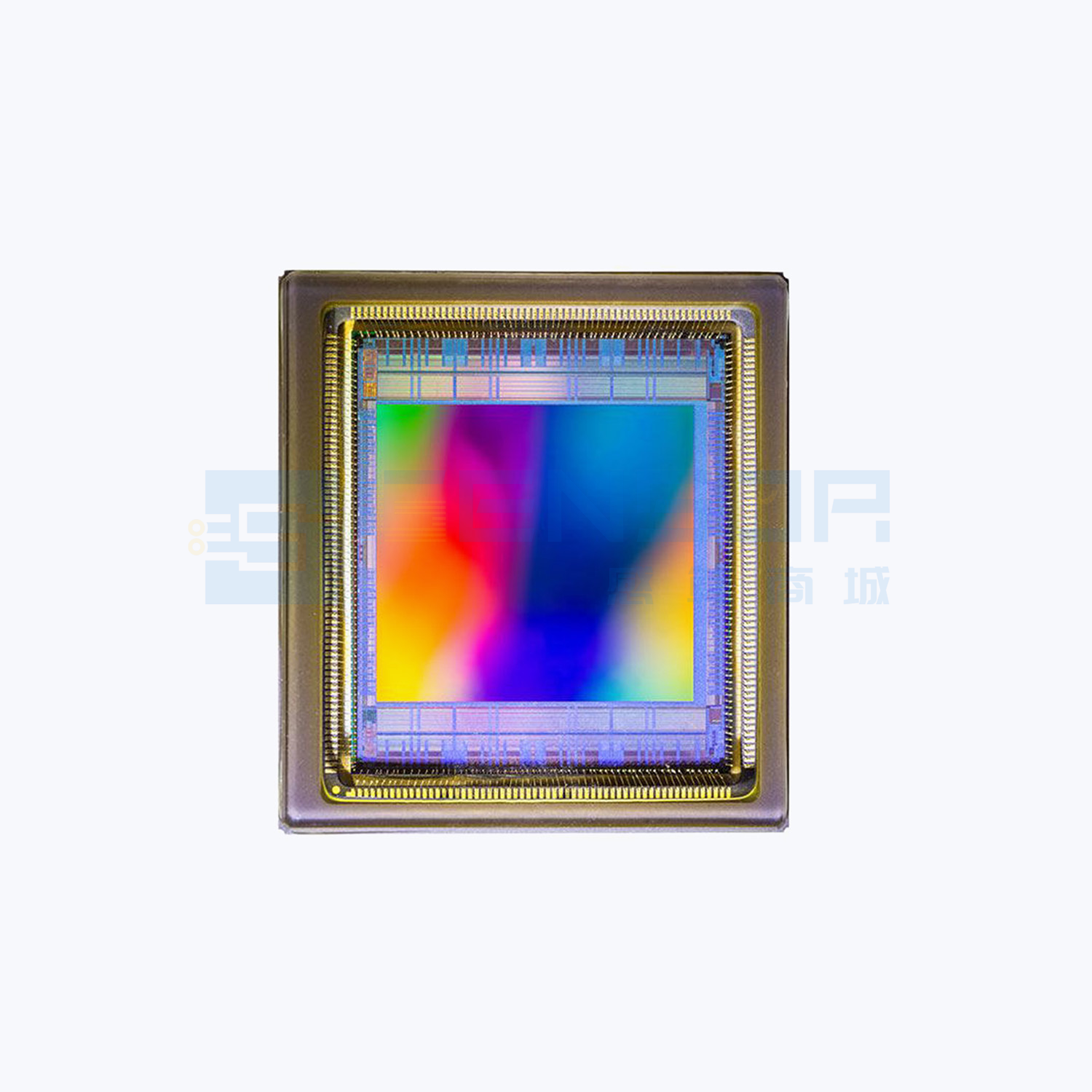“CSG8K-1E5C1LA FT SE”商品图1
