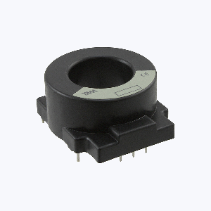 L06P300S05