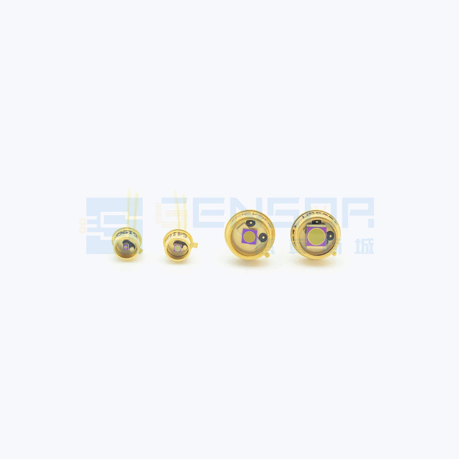 “C30619GH”商品图1
