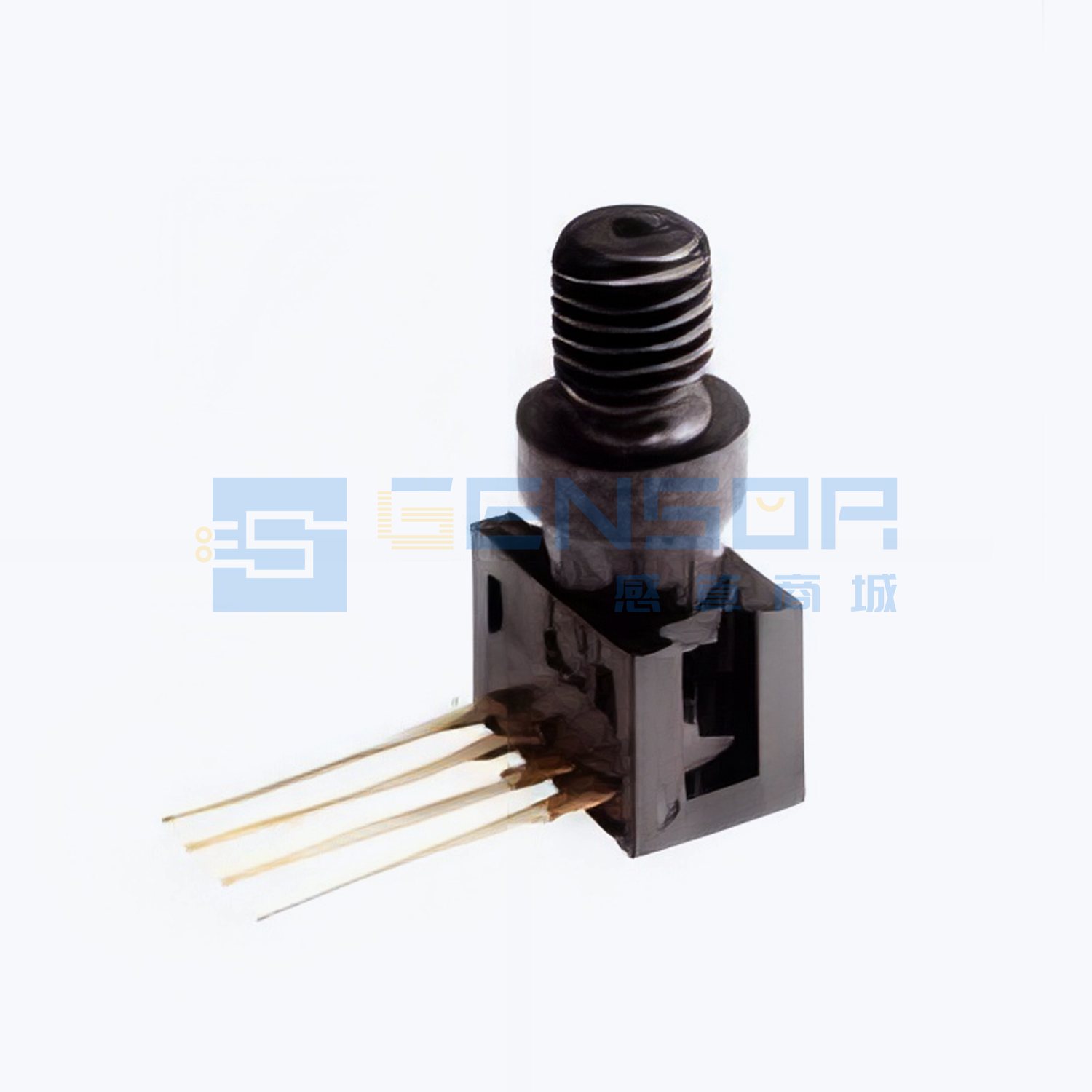 “24PCGFM6G”商品图1