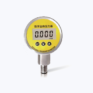 AE-P1-S-1-M1-J2-P1-V4-3-X-C2175实物图