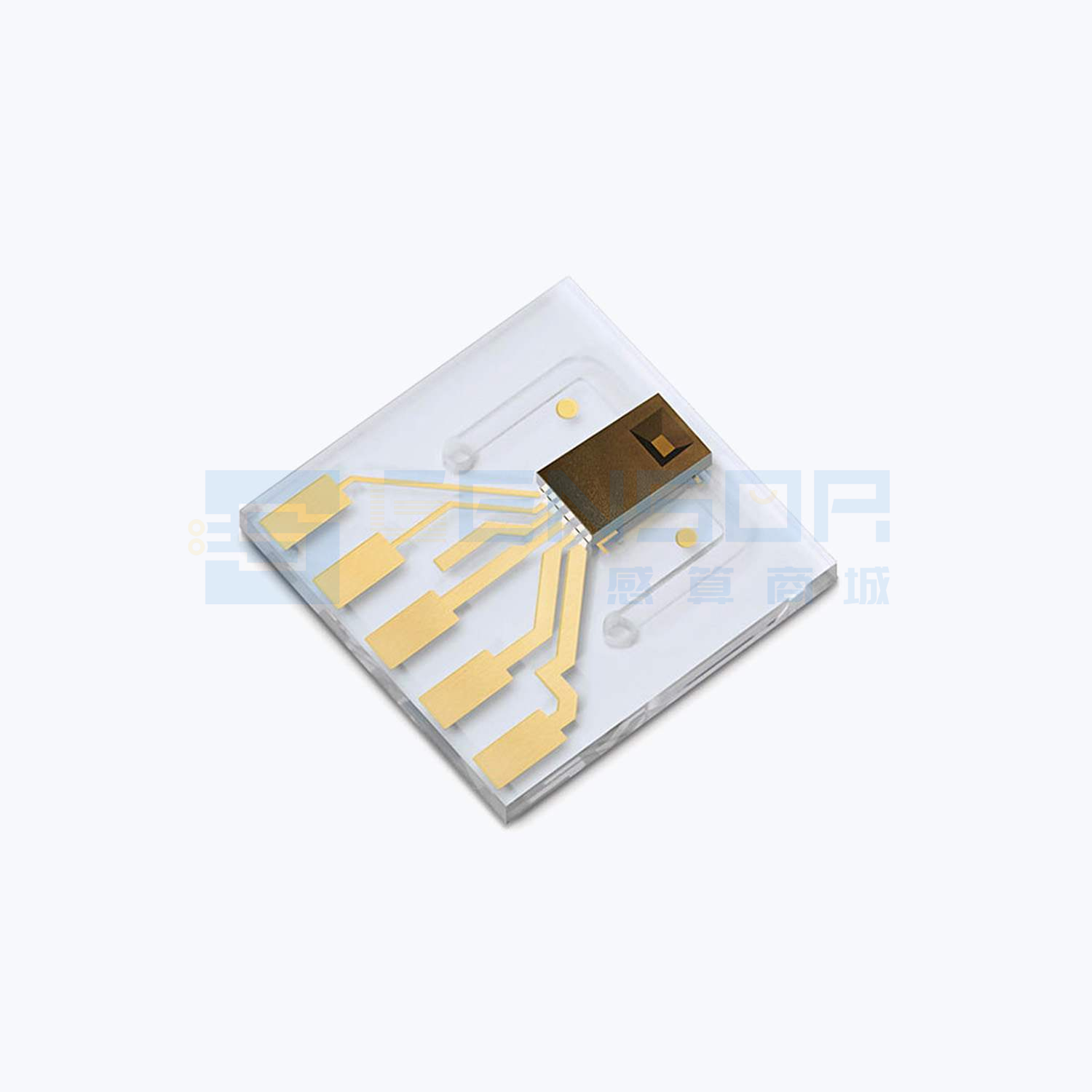 “LPG10-1000”商品图1