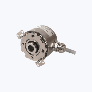 RSI58O-02YK1R61T-01024