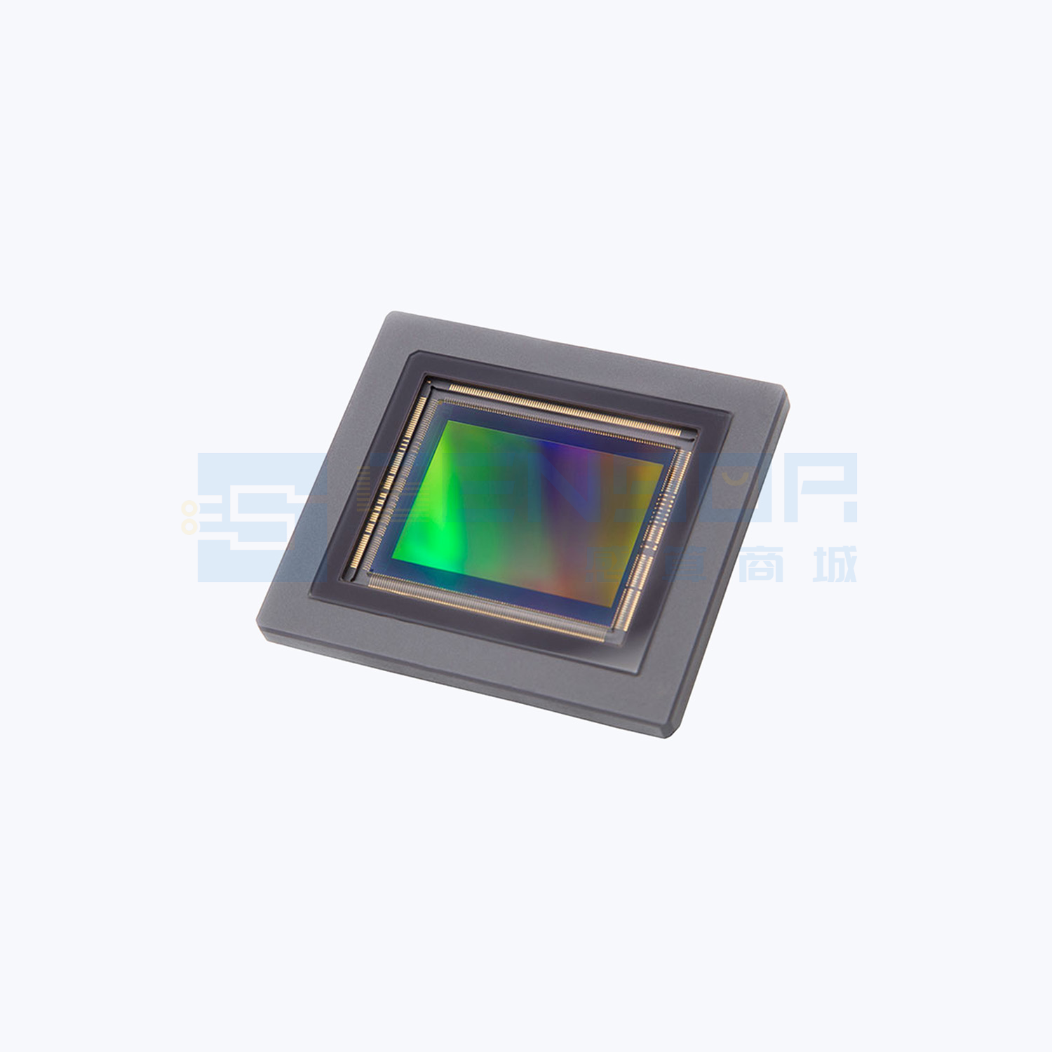 “2511C002”商品图1