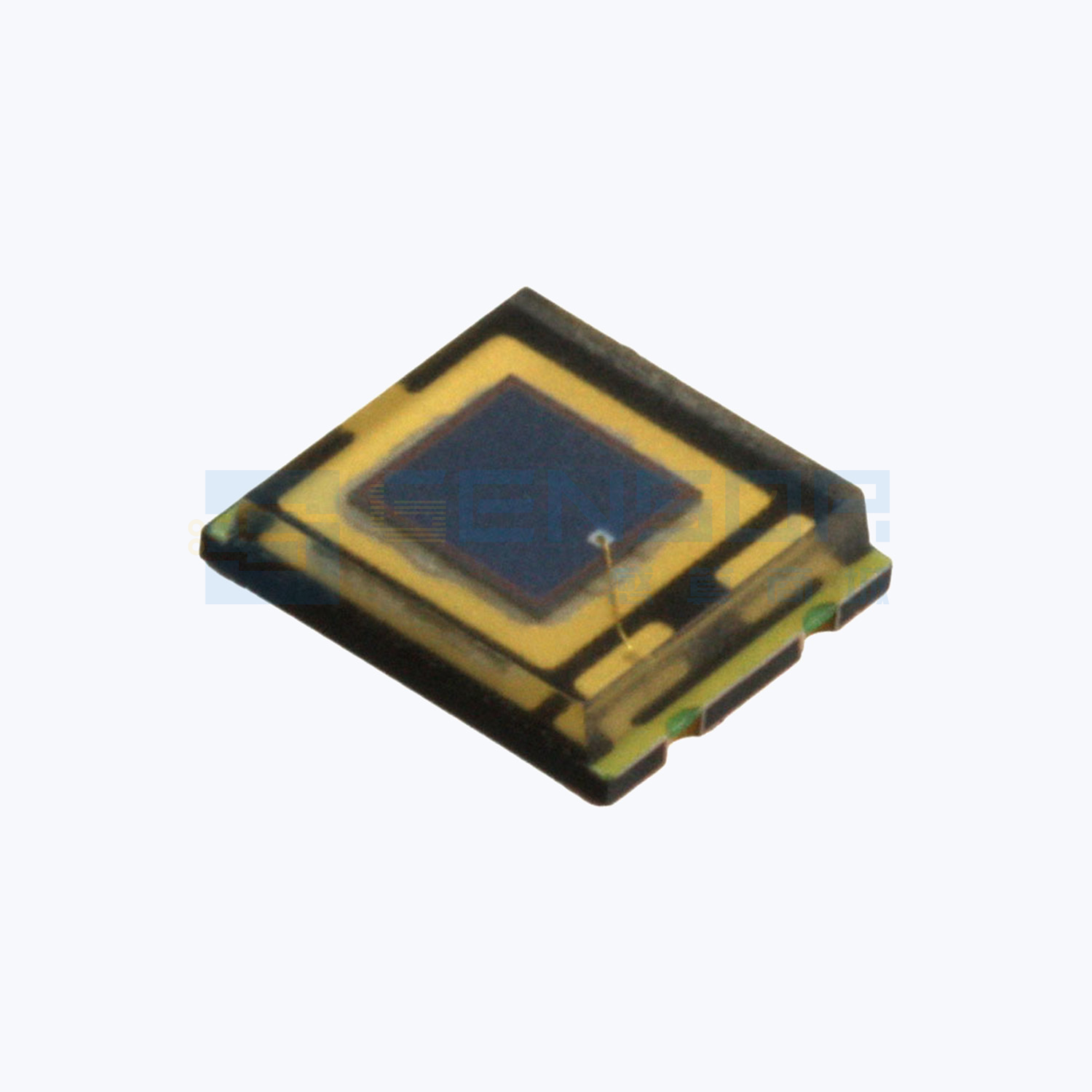 “TEMD5020X01”商品图1