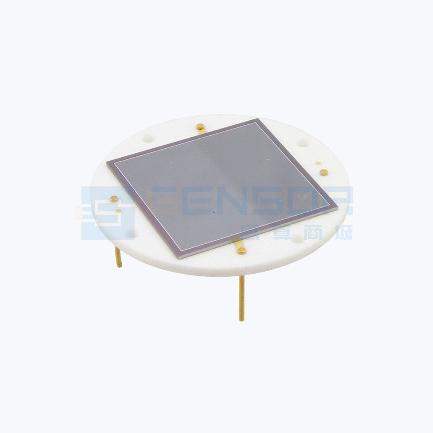 “AXUV576C”商品图1