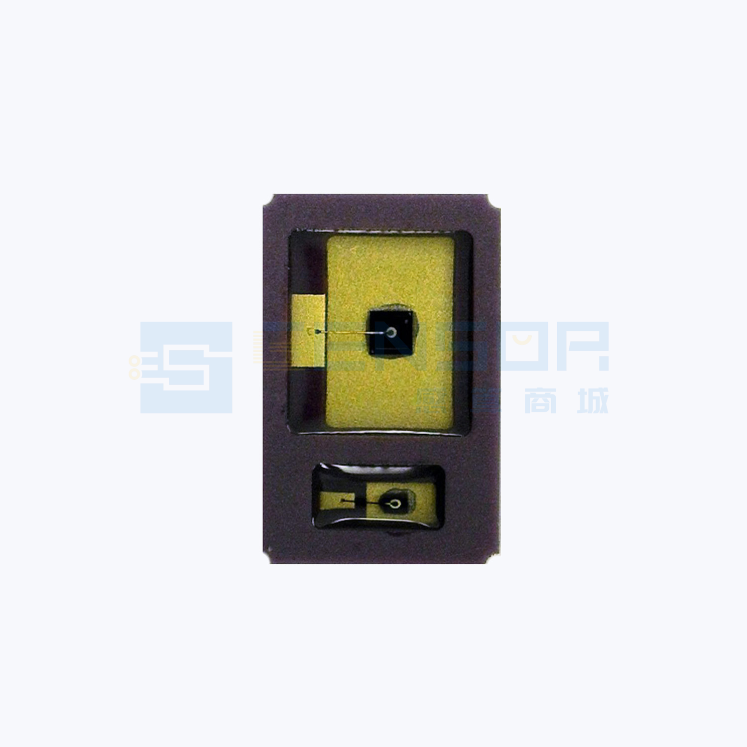 “MTRS9520DSM”商品图1