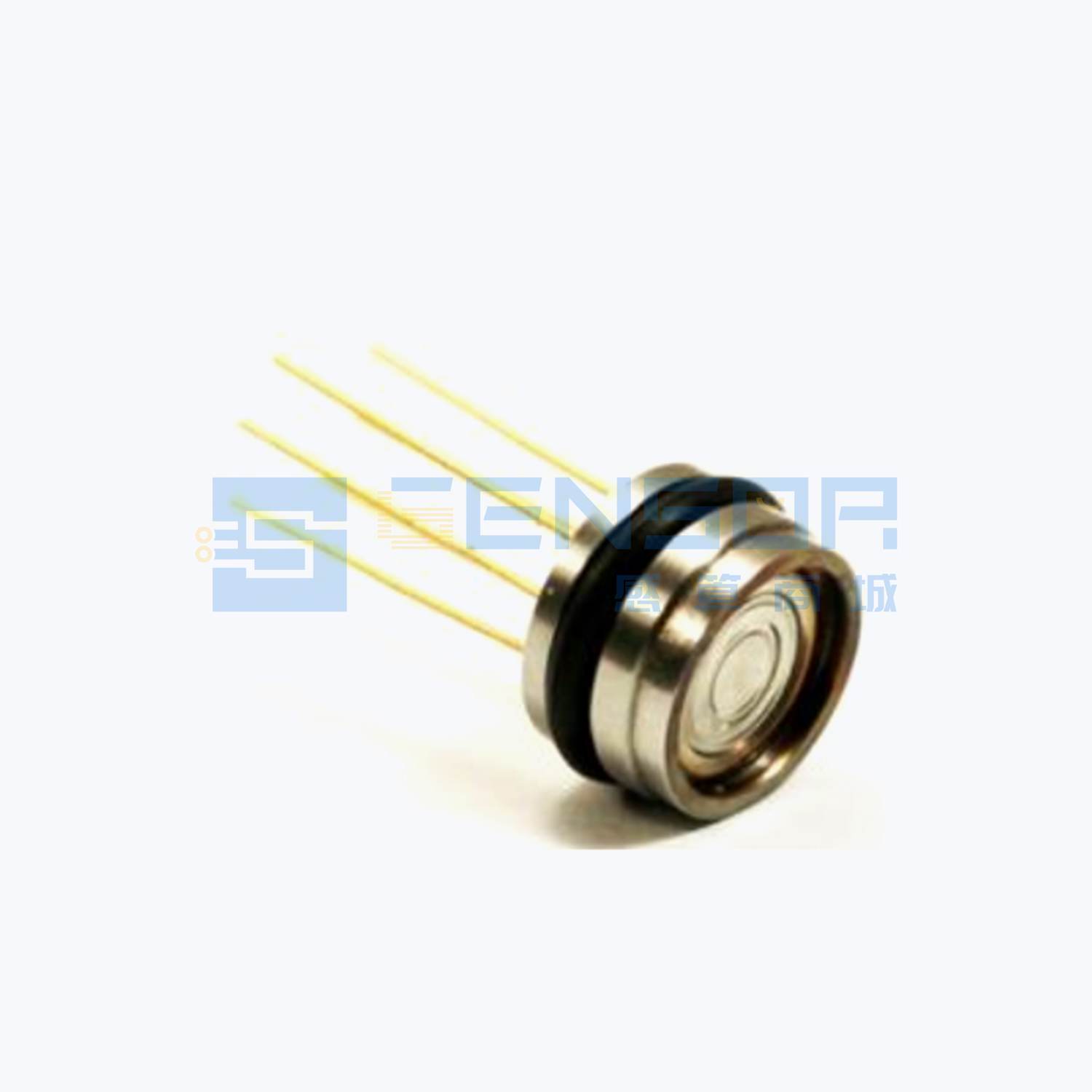 “SMP2000-0B-G-1-Y”商品图1