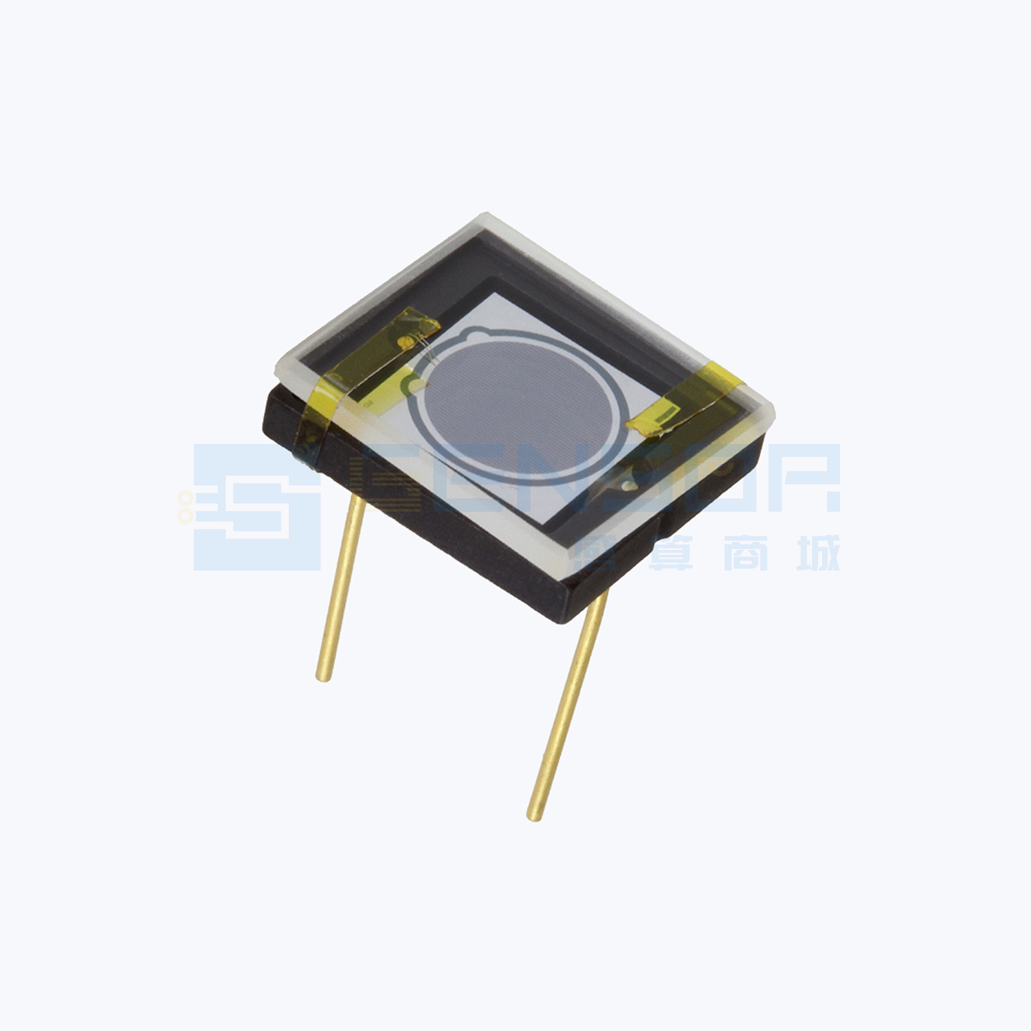 “AXUV20HS1”商品图1