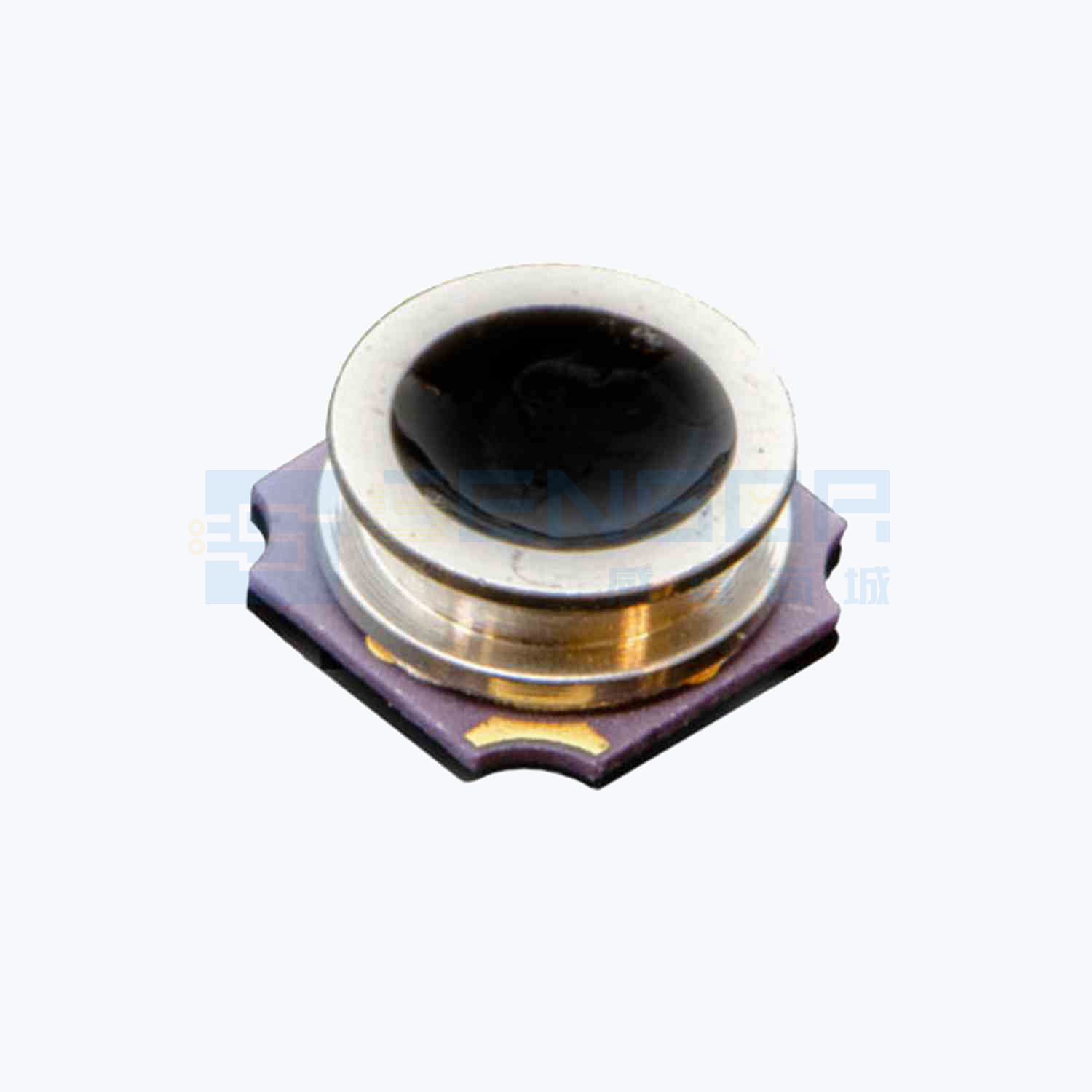 “ICP-10125”商品图1