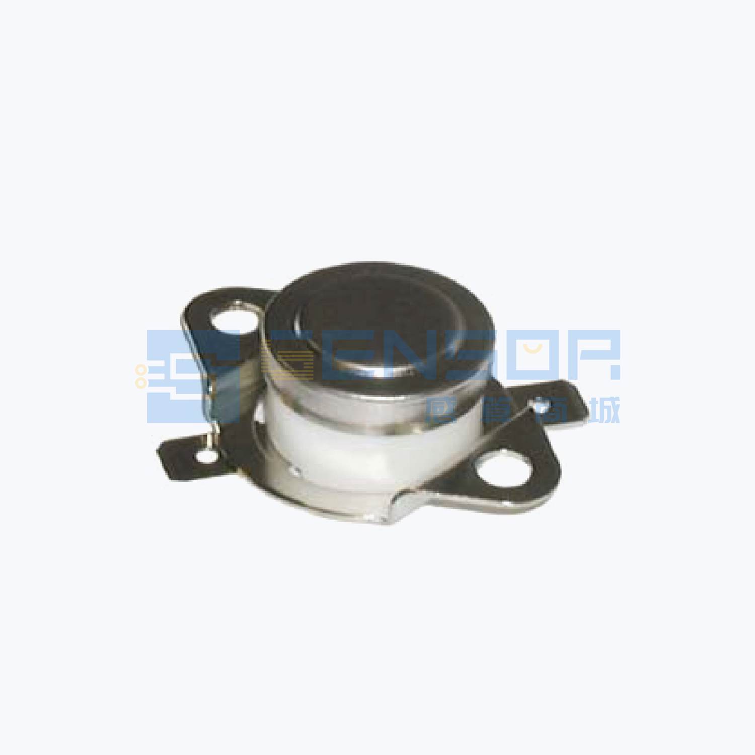 “2450RC 80430254”商品图1