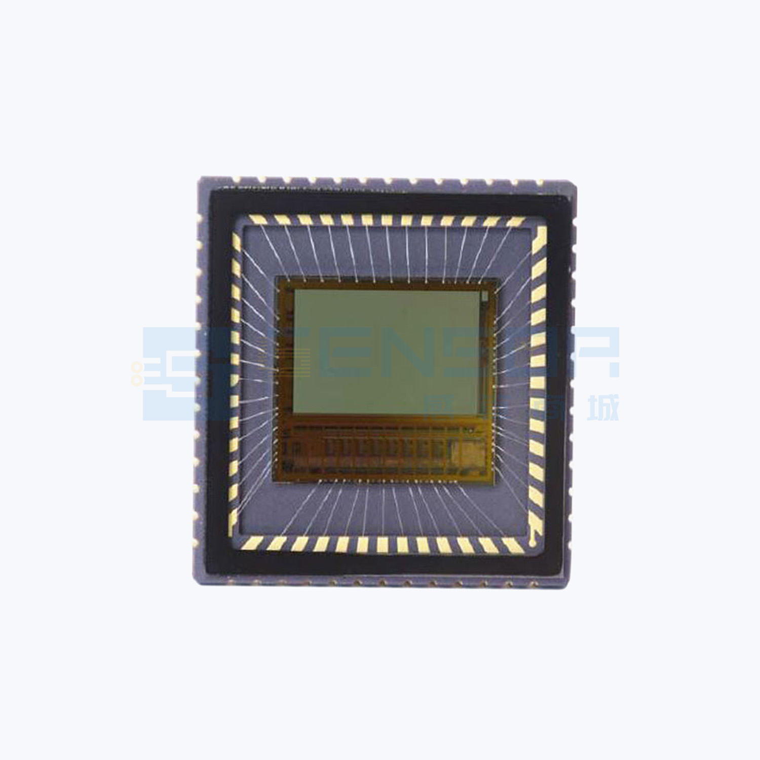“NOIV1SN2000A-QDC”商品图1