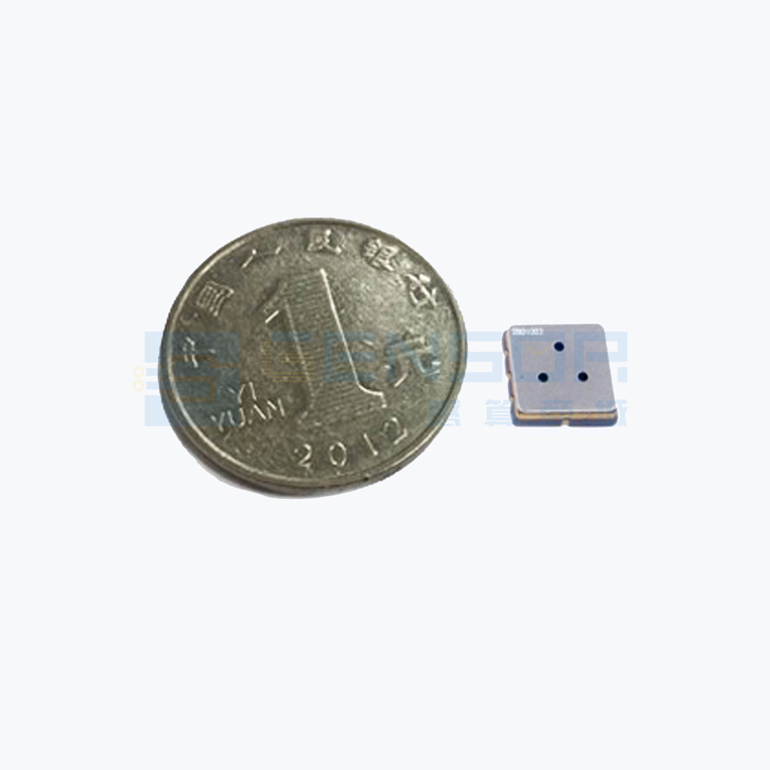 “SMD1012”商品图1