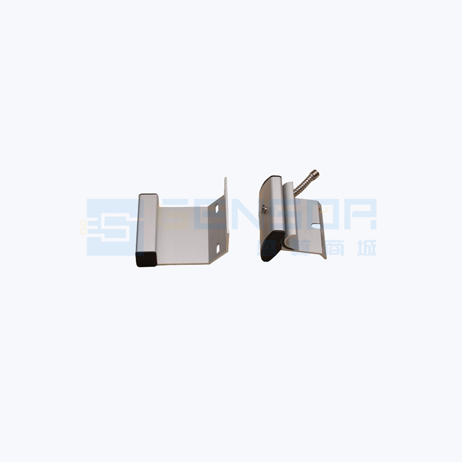 “TANE-66 WG”商品图1