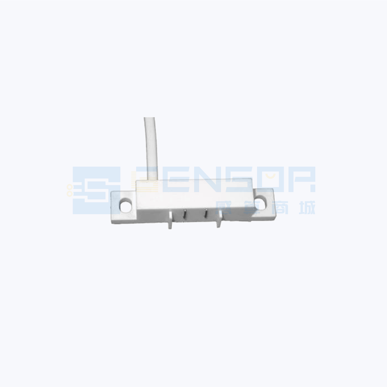 “TANE WS-1”商品图1