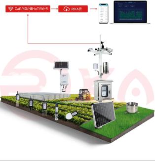 【应用方案】瑞仪卡科技智慧农业环境监测传感器：让农业种植有 “数” 可依