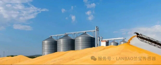 【应用方案】智能微波水分仪：小麦水分检测的“快准稳”新利器