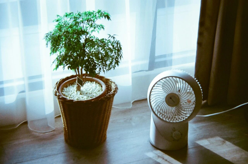 【应用方案】别让CO₂偷走你的注意力！百年气体监测技术演进